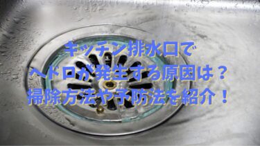 キッチン排水口でヘドロが発生する原因は？掃除方法や予防法を紹介！