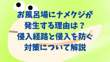 お風呂場にナメクジが発生する理由は？侵入経路と侵入を防ぐ対策について解説