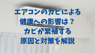 エアコンのカビによる健康への影響は？カビが繁殖する原因と対策を解説