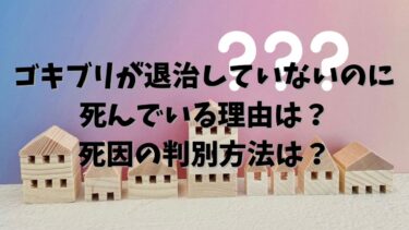 ゴキブリが退治していないのに死んでいる理由は？死因の判別方法は？