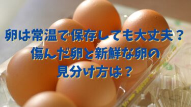 卵は常温で保存しても大丈夫？傷んだ卵と新鮮な卵の見分け方は？