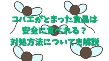 コバエがとまった食品は安全に食べれる？対処方法についても解説