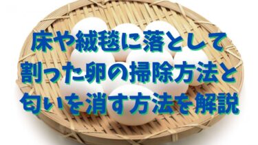 床や絨毯に落として割った卵の掃除方法と匂いを消す方法を解説