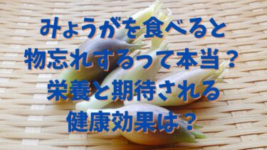 みょうがを食べると物忘れするって本当？栄養と期待される健康効果は？