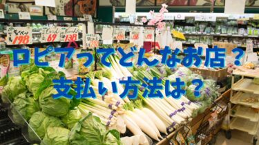 ロピアってどんなお店？支払い方法は？