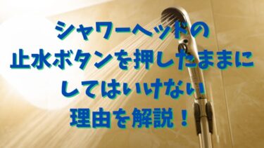 シャワーヘッドの止水ボタンを押したままにしてはいけない理由を解説！