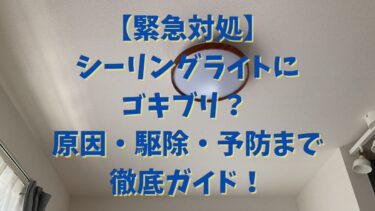 【緊急対処】シーリングライトにゴキブリ？ 原因・駆除・予防まで徹底ガイド！