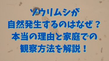ゾウリムシが自然発生するのはなぜ？本当の理由と家庭での観察方法を解説！