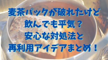 麦茶パックが破れたけど飲んでも平気？安心な対処法と再利用アイデアまとめ！
