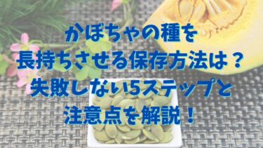 かぼちゃの種を長持ちさせる保存方法は？失敗しない5ステップと注意点を解説！