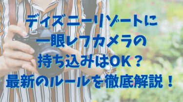 ディズニーリゾートに一眼レフカメラの持ち込みはOK？最新のルールを徹底解説！