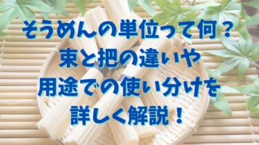 そうめんの単位って何？束と把の違いや用途での使い分けを詳しく解説！