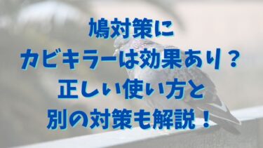鳩対策にカビキラーは効果あり？正しい使い方と別の対策についても解説！