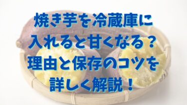 焼き芋を冷蔵庫に入れる甘くなる？理由と保存のコツを詳しく解説！