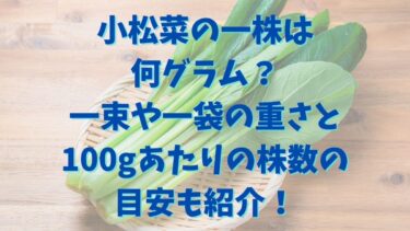 小松菜の一株は何グラム？一束や一袋の重さと100gあたりの株数の目安も紹介！