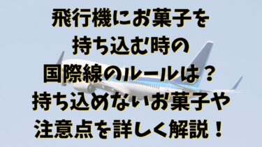 飛行機にお菓子を持ち込む時の国際線のルールは？持ち込めないお菓子や注意点を詳しく解説！
