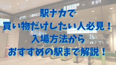 駅ナカで買い物だけしたい人必見！入場方法からおすすめの駅まで解説！