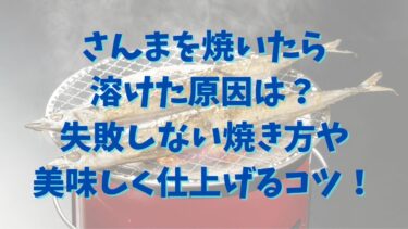 さんまを焼いたら溶けた原因は？失敗しない焼き方や美味しく仕上げるコツ！