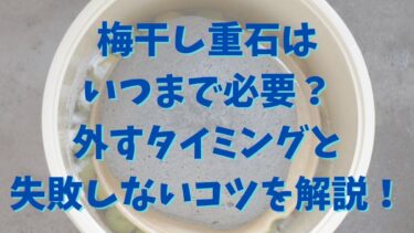 梅干し重石はいつまで必要？外すタイミングと失敗しないコツを解説！