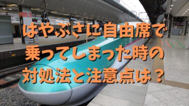はやぶさに自由席で乗ってしまった時の対処法と注意点は？