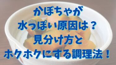かぼちゃが水っぽい原因は？見分け方とホクホクにする調理法を紹介！