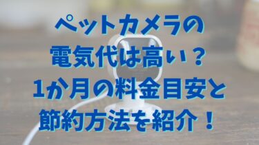 ペットカメラの電気代は高い？1か月の料金目安と節約方法を紹介！