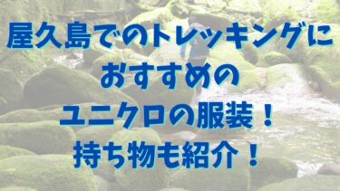 屋久島でのトレッキングにおすすめのユニクロの服装！持ち物も紹介！