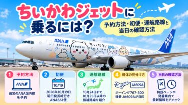 ちいかわジェットに乗るには？予約方法・初便・運航路線と当日の確認方法！
